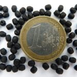 0010420A Matte (Frosted) Jet facet 3mm.-0