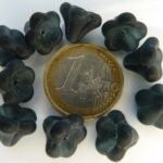 0020016 Matte Montana kelkvormige bloem 10 stuks-0