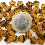 0030045 Topaz met donkerbruine bloem-0