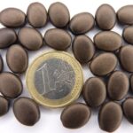 0030105 Matte brown metallic schijfje-0