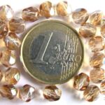 0030244 Crystal Celsian Facet 6 mm.-0