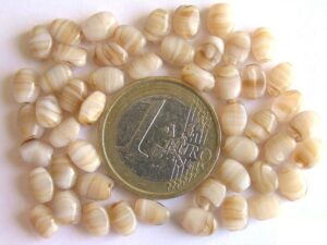 0040036 Beige gemeleerd-0