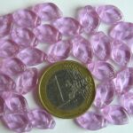 0080203 Paarse blaadjes-0