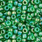 TR-08-0167B Trans-Rainbow Grass Green-0
