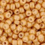 TR-11-0123D Opaque-Lustered Dark Beige-0