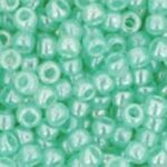 TR-11-0144 Ceylon Celery-0