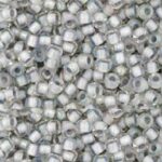 TR-11-0261 Inside-Color Rainbow Crystal/Gray Lined-0
