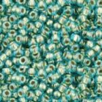TR-11-0284 Inside-Color Aqua/Gold Lined-0