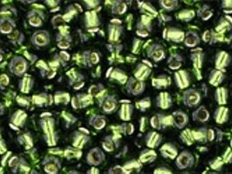 TR-11-0037 Silver-Lined Olivine-0 TR-11-0037 Silver-Lined Olivine-0
