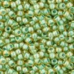 TR-11-0380 Inside-Color Topaz/Mint Julep Lined-0