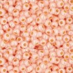 TR-11-0904 Ceylon Apricot-0