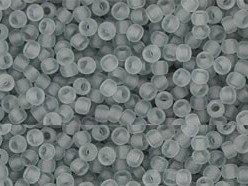 TR-11-0009F Transparent-Frosted Lt Gray-0