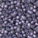 TR-11-PF2124 Permanent Finish – Silver-Lined Milky Tanzanite-0