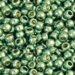 TR-11-PF0570 Permanent Finish – Galvanized Mint Green-0