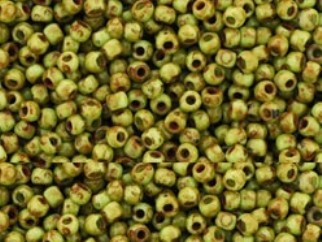 TR-11-Y0310 HYBRID Sour Apple Picasso-0