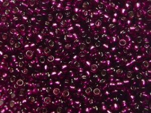 TR-15-2223 Silver Lined Dragonfruit