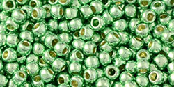 TR-08-PF0570 Permanent Finish - Galvanized Mint Green-0