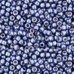TR-15-PF0567 Permanent Finish – Metallic Polaris-0