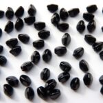 PI-23980 Jet Pinch Beads 10 gram.-0