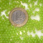 0100119 Green Opal 3 mm. 150 Pc.-0