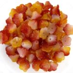 FLC-03000-95601 Flower Cup Funky Apple 50 Pc.-0