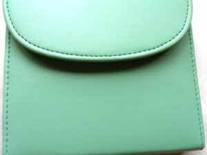 PLFAS05 Beadsmith Pastel Aqua Beaders Tool Set in Clutch.-6589