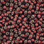 TR-11-0025D Silver-Lined Garnet-0