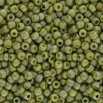 TR-11-2631F Semi Glazed Rainbow – Olive-0