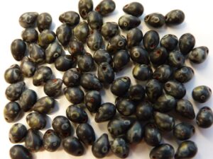0010059 Jet Travertin Czech Drops 50 Pc.-7828