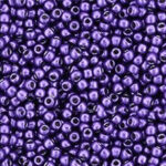 TR-11-YPS0013 HYBRID ColorTrends: Metallic – Bodacious-0