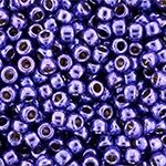 TR-11-PF0581 Permanent Finish – Galvanized Violet-0