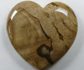 2-APE-21 Hart Petrified Wood (versteend hout) - Afbeelding 2