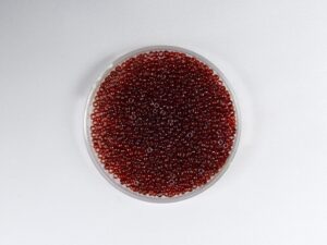 M-15-0304 Garnet Gold Luster 5 gram
