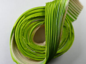 Shib-22-ÉcSpGr Shibori zijde per 1/4 yard: Écru Spring Green