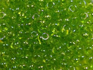 TM-03-0164 Transparent Rainbow Lime Green Magatama 3 mm. TOHO