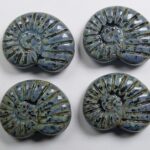 0010507 shell beads 17×13 mm jet dark picasso color 23980-86805