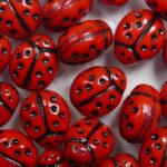 0050302 ladybird lieveheersbeestje bead rood met zwarte stippen