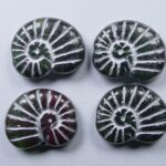 0020312 Shell Beads Mixed Color Silver Washed