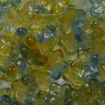 0060131 Druk Flower Caps Transparent Zacht Oranje met Blauw Melee 7 mm