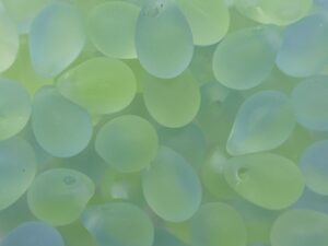 CD-7x5-87301-84110 5x7 mm Matte Light Peridot Sapphire Drops 50 Pc. - Afbeelding 1
