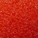 tr-11-0803 toho rounds 11-0 Luminous Neon Salmon