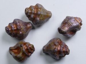 White Alabaster Brown Purple Luster Copper Washed Murex Shell Beads