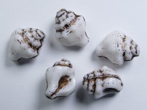 0140272 White Alabaster Bronze Washed Shell Beads 15 x 12 mm. 5 Pc.
