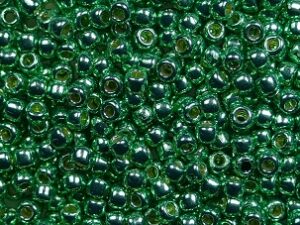 TR-11-PF0588 Permanent Finish Galvanized Spearmint - Afbeelding 1