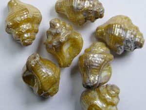 White Alabaster Silver Picasso Murex Shell Beads