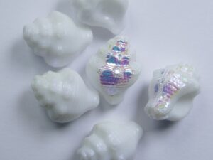 0140276 White Alabaster AB Shell Beads 15 x 12 mm. 5 Pc. - Afbeelding 1