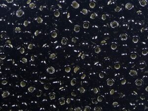 TR-11-2210 Silver Lined Black - Afbeelding 1