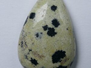 DJ-1 Natuursteen Druppelvormige Cabochon Dalmatian Jasper