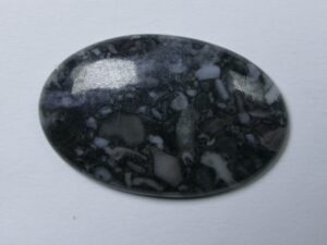 NO-9 Natuursteen Cabochon Natural Orthoceras
