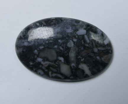 NO-9 Natuursteen Natural Orthoceras 30x20x4 mm